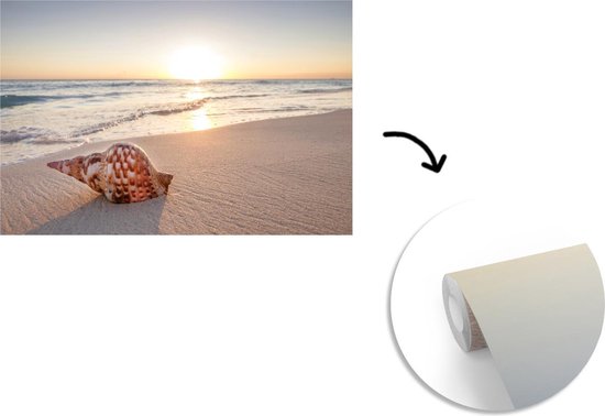 Papier fotobehang Coquillage sur la plage au coucher du soleil