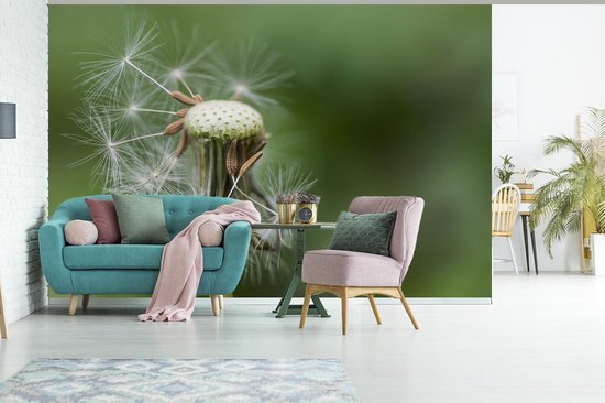 Papier peint photo peint vinyle - Pissenlit perdant ses graines largeur 525 cm x hauteur 350 cm - Tirage photo sur papier peint (disponible en 7 tailles)