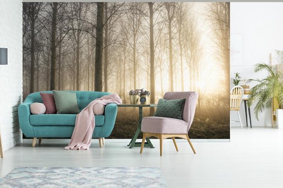 Lever du soleil dans une forêt brumeuse au Royaume-Uni fotobehang