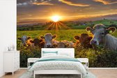 Papier peint photo peint photo vinyle - Coucher de soleil sur un troupeau de vaches largeur 360 cm x hauteur 240 cm - Tirage photo sur papier peint (disponible en 7 tailles)
