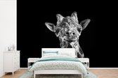 Behang - Fotobehang Giraffe tegen zwarte achtergrond in zwart-wit - Breedte 450 cm x hoogte 300 cm