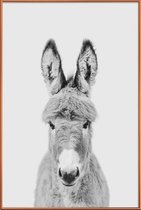 JUNIQE - Poster met kunststof lijst Donkey Classic -30x45 /Wit & Zwart