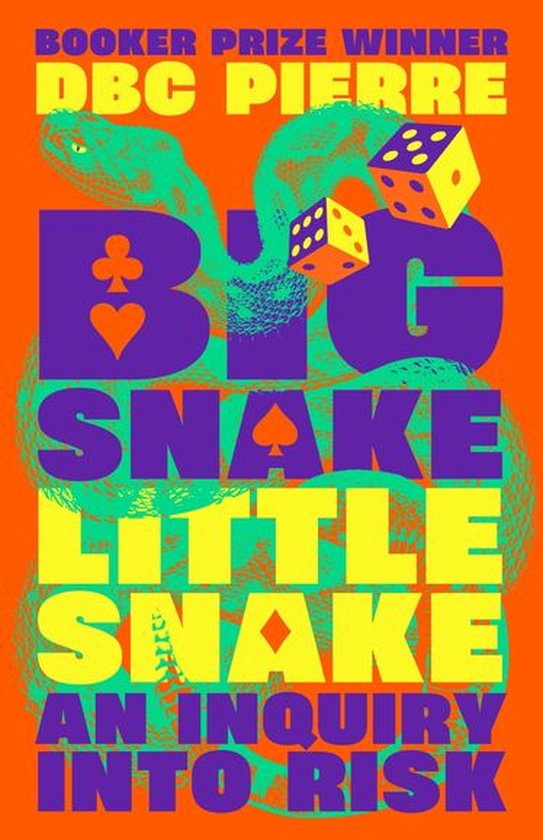 Boek cover Big Snake Little Snake van Dbc Pierre (Onbekend)