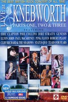 Various Artists - Live At Knebworth (2 DVD)