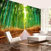 Zelfklevend fotobehang -  Bos van Bamboe  , Premium Print