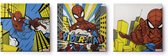 Disney - Canvas Set van 3 - Marvel Spiderman - Retro - 3x 30x30cm