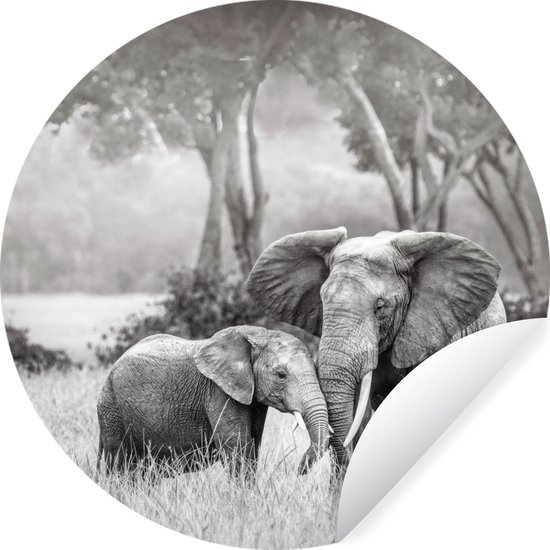 Cercle de papier peint - Bébé éléphant avec sa mère en noir et blanc - 50x50 cm - Cercle de mur - Autocollant - Sticker papier peint