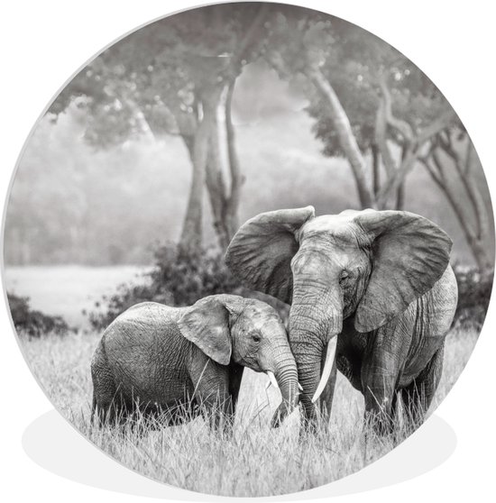 WallCircle - Wandcirkel ⌀ 30 - Olifant - Dieren - Natuur - Zwart wit - Ronde schilderijen woonkamer - Wandbord rond - Muurdecoratie cirkel - Kamer decoratie binnen - Wanddecoratie muurcirkel - Woonaccessoires