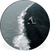 Seagull survole Dyrhólaey en Islande Cercle mural aluminium - ⌀ 120 cm - peinture ronde - impression photo sur aluminium / dibond / cercle mural / cercle vivant / cercle jardin (décoration murale)