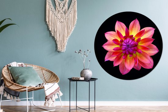 Un gros plan de la fleur de dahlia multicolore sur fond noir Cercle mural aluminium ⌀ 120 cm - tirage photo sur cercle mural / cercle vivant / cercle jardin (décoration murale) XXL / Groot format!