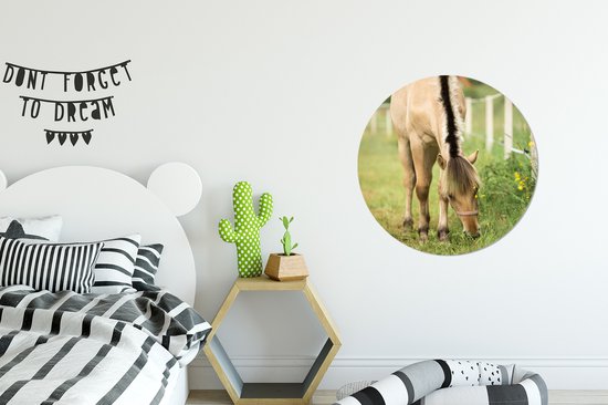 Wall Circle - Wall Circle Inside - un cheval de fjord dans un champ d'herbe - ⌀ 60 cm - Décoration murale - Peintures ronds