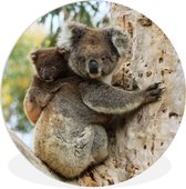 WallCircle - Wandcirkel ⌀ 90 - Koala's - Kind - Boom - Kinderen - Jongens - Meiden - Ronde schilderijen woonkamer - Wandbord rond - Muurdecoratie cirkel - Kamer decoratie binnen - Wanddecoratie muurcirkel - Woonaccessoires
