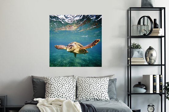 Stickers muraux - Tortue - Water - Blauw - 100x100 cm - Feuille adhésive XXL