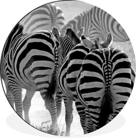 WallCircle - Wandcirkel - Muurcirkel - Lopende zebra's - Aluminium - Dibond - ⌀ 60 cm - Binnen en Buiten