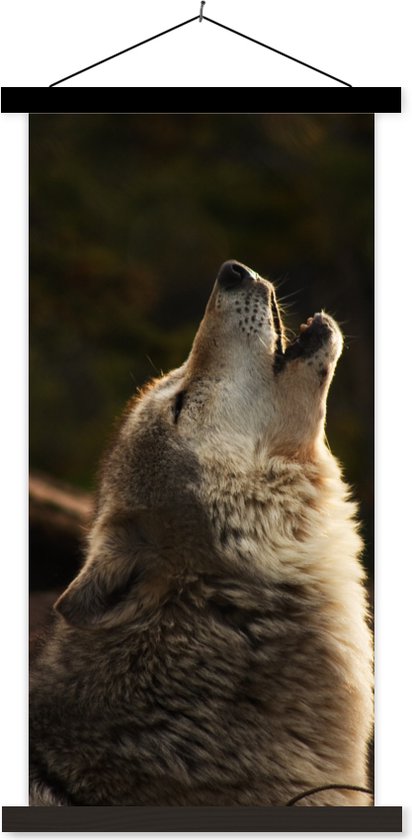 Posterhanger incl. Poster 60x120 cm - Schoolplaat - Wolf - Grijs - Dieren - Textielposter - Zwarte latten