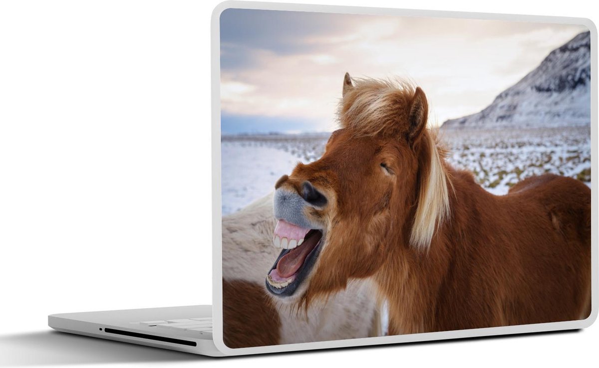 Afbeelding van product SleevesAndCases  Laptop sticker - 12.3 inch - Paard - Strand - Berg