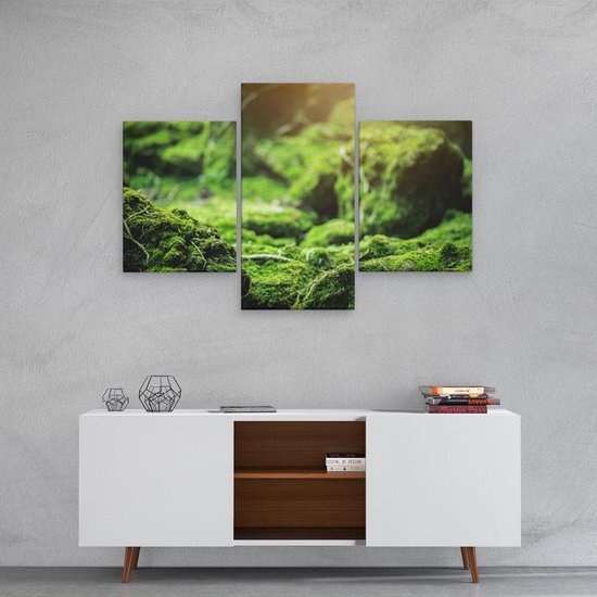 Artaza - Triptyque de peinture sur toile - Mousse verte recouverte de pierres - 90x60 - Photo sur toile - Impression sur toile