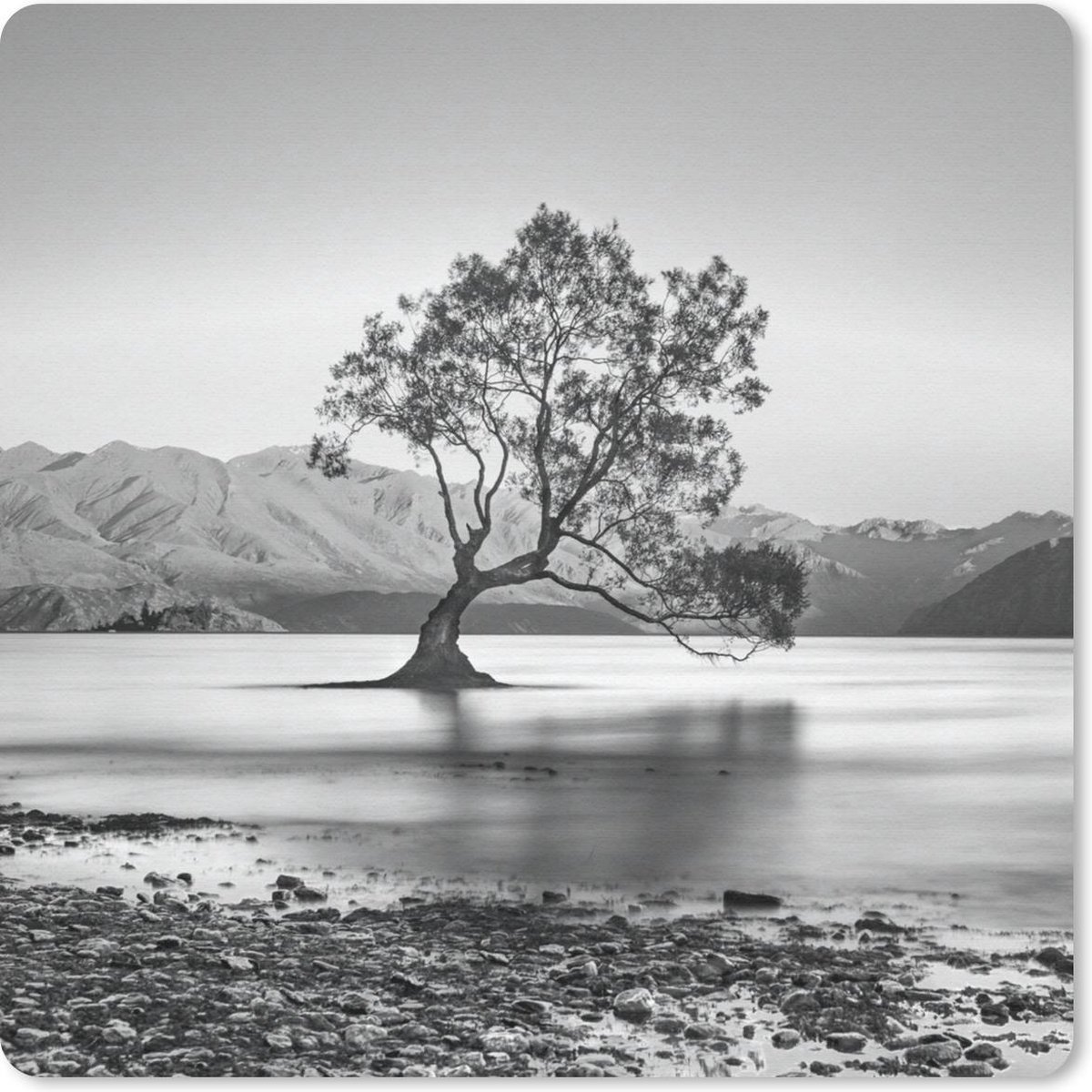 Muismat 30x30 cm - Mousepad Nieuw-Zeeland - Boom - Zwart - Wit - Muismatten