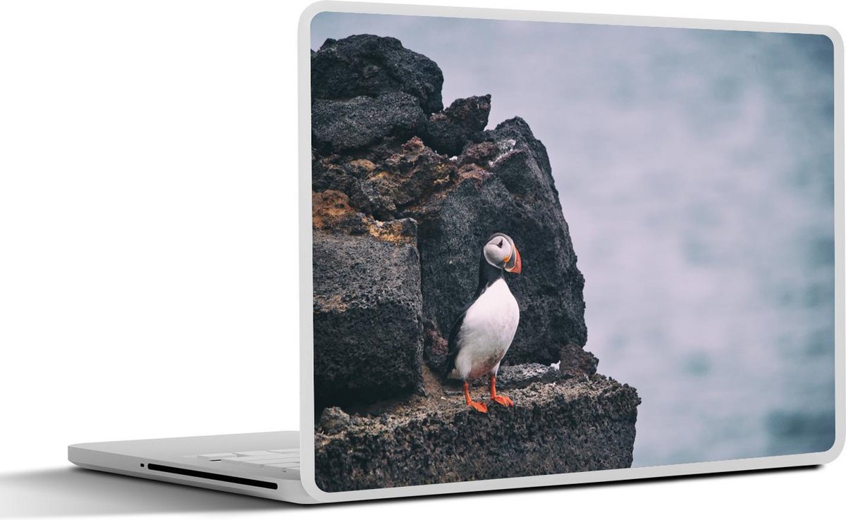 Laptop sticker - 12.3 inch - IJsland - Papegaai - Rots