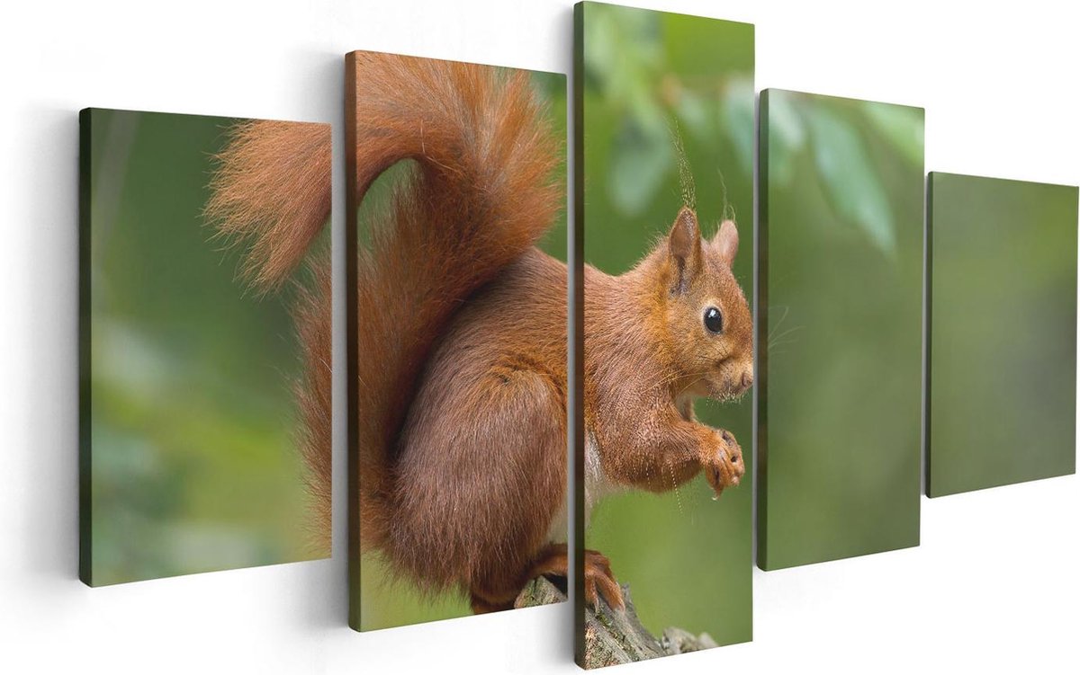 Artaza Canvas Schilderij Vijfluik Eekhoorn op een Boomstam in het Bos - 100x50 - Foto Op C