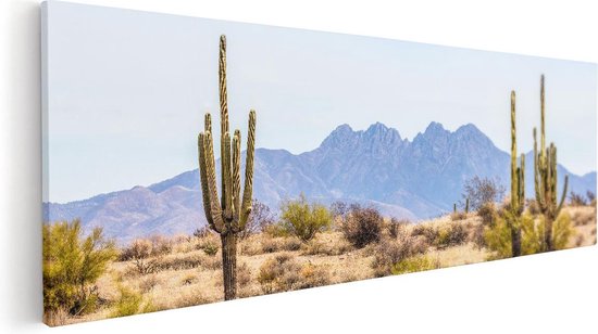 Artaza Canvas Schilderij Cactussen in de Woestijn - 60x20 - Foto Op Canvas - Canvas Print