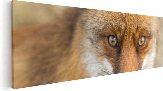 Artaza Canvas Schilderij Vossenkop met Bruine Ogen - Vos - 120x40 - Groot - Foto Op Canvas - Canvas Print