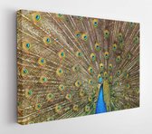 Canvas schilderij - Bird pattern colorful green  -     45911 - 50*40 Horizontal