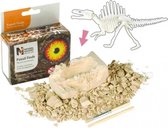 fossielen ontdekset stegosaurus junior 3-delig