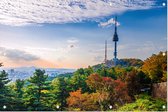 De N Tower op de populaire Namsanberg in hartje Seoul - Foto op Tuinposter - 90 x 60 cm