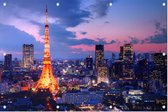 Tokyo Tower in het Park van Shiba Minato in Tokio - Foto op Tuinposter - 90 x 60 cm