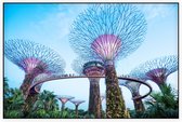 De bomen van Gardens by the Bay in Singapore bij daglicht - Foto op Akoestisch paneel - 225 x 150 cm