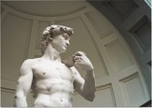 De David van Michelangelo Buonarotti in Florence - Foto op Posterpapier - 59.4 x 42 cm (A2)