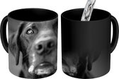 Magische Mok - Foto op Warmte Mokken - Koffiemok - Dierenprofiel labrador hond in zwart-wit - Magic Mok - Beker - 350 ML - Theemok