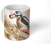 Mok - Een grote bonte specht met een hazelnoot - 350 ML - Beker