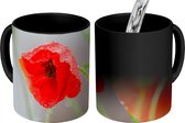 Magische Mok - Foto op Warmte Mok - Dauw op een rode papaver - 350 ML