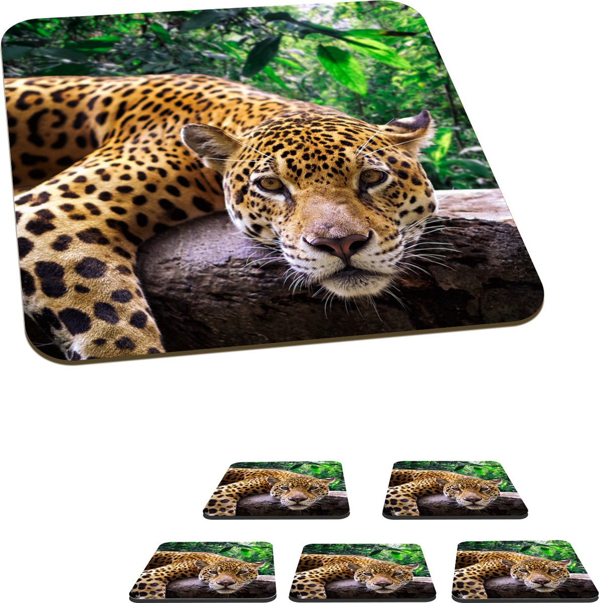 Onderzetters voor glazen - Jaguar rust uit - 10x10 cm - Glasonderzetters - 6 stuks