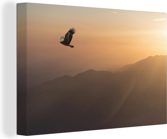 Canvas Schilderij Zeearend - Vliegend - Natuur - Zon - Licht - Vogels - 30x20 cm - Wanddecoratie
