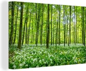 Arbres verts de la forêt Toile 180x120 cm - Tirage photo sur Toile (Décoration murale salon / chambre) / Décoration murale Peintures sur toile XXL / Groot format!