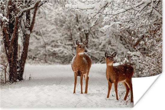 Herten in de sneeuw Poster 60x40 cm - Foto print op Poster (wanddecoratie)