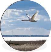 WallCircle - Cercle Mural - Cercle Mural - Cygne - Water - Prairie - Aluminium - Dibond - 120x120 cm - Intérieur et Extérieur XXL