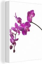 Canvas schilderij 120x160 cm - Wanddecoratie Orchidee tegen witte achtergrond - Muurdecoratie woonkamer - Slaapkamer decoratie - Kamer accessoires - Schilderijen