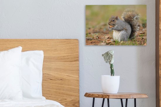Tableau sur toile Écureuil avec cacahuète - 30x20 cm - Décoration murale