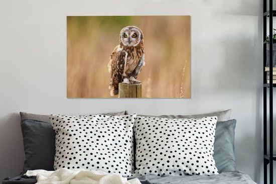 Tableau sur toile Gros plan d'un hibou des marais sur un poteau en bois - 90x60 cm - Décoration murale