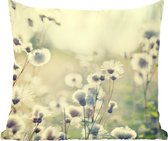 Fleurs - Champ - Wit