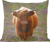 Coussins décoratifs - Oreillers Salon - 60x60 cm - Highlander écossais - Bruyère - Animaux