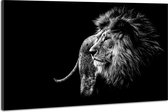 Schilderij -Leeuw in zwart/wit, magisch, 2 maten, wanddecoratie