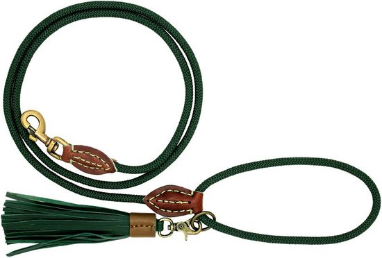 DWAM Hondenriem Bowie Groen S 155 x 1 cm - Hond