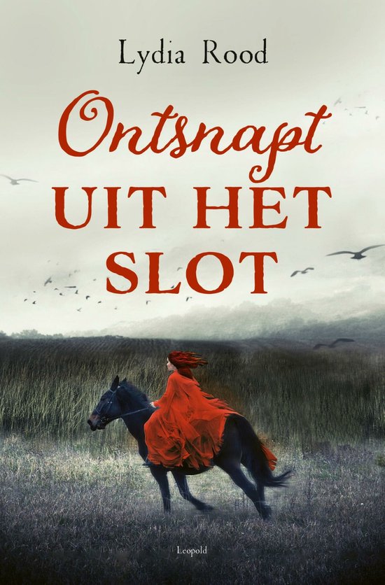 Ontsnapt uit het slot - cover