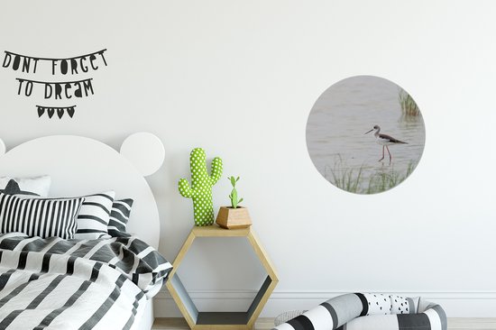 Echasse à ailes noires patauge dans le cercle mural en eau peu profonde aluminium ⌀ 30 cm - impression photo sur cercle mural / cercle vivant / cercle de jardin (décoration murale)