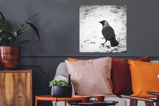 Un choucas dans la neige pendant l'hiver Poster 50x50 cm - Tirage photo sur Poster (décoration murale salon / chambre)